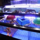 면목동-132 이미지