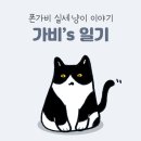 가비상자