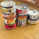 (주)유피앤아이 | 고양이 습식사료 추천_1군위주로 습식캔 테스트 후기(물안마시고,입짧은고양이)