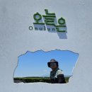 오늘은녹차