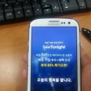 세일투나잇