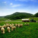 영아목장 이미지