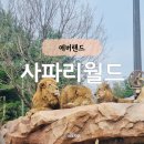 호랑이와 반달곰 | 2026 에버랜드 사파리월드 리뉴얼 후기 대기시간 명당 유모차 꿀팁