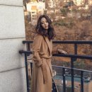 손여은 카카오 검색결과