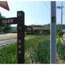 대청호오백리길 대청로하스길 이미지