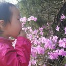 커피꽃향기 이미지