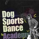 도그시티 이미지