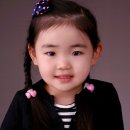양  지 이미지