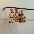 탄중로 | 피카고 애자일2 강아지유모차 구입후기 모루뽀 일산 악세사리 가격