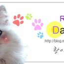 아이존콘택트 이미지