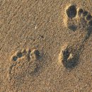 조정래한의원 이미지