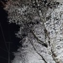 마성면 행정복지센터 이미지