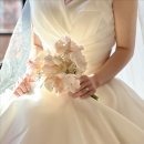 라온제나 이미지