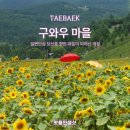 태백종합관광안내소 이미지