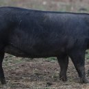 은지축산 이미지