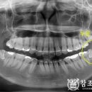 참조은치과의원 이미지