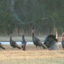 외양농장 이미지