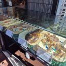 크래버 대게나라 | 광주 수완 크래버 대게나라 대게 런치 정식 코스 후기