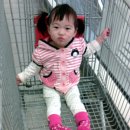 솔미 Daum카페
