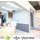 제천 그레이스 동물병원 이미지