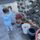 대수길31 이미지