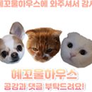 코스트코 홀세일 광명점 이미지