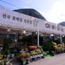 예삐꽃방 이미지