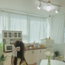 송호초사거리(송호초) | 안산파티룸 보아야쥬 자연광이 예쁜 감성 스튜디오 파티