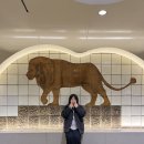 불리한 시바 | 우당탕탕 오사카 여행기 - 7편 (4일차/덴노지,신세카이,츠텐카쿠,잇토쿠쿠시카츠)