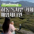경남 하동 가볼만한곳, 녹차밭 카페 매암제다원 주차 포토존