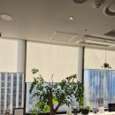 유로진여성의원 | 내가 원하는 리비브후기 만나려면 무엇을 봐야 할까?