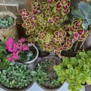 GH지압침대 이미지