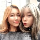 단비캣 이미지