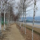 삼패지구풋살구장