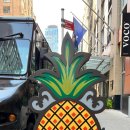 깔끔하고 귀여웠던 맨해튼 스테이 파인애플 언 아트풀 호텔 뉴욕(Staypineapple an Artful Hotel New York)