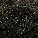 톡톡건강안마원 이미지