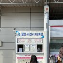 대공원자전거대여점 네이버블로그