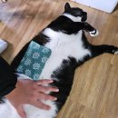 와따개 | [당진]도비도 와따좌대 두번째 방문 후기