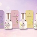 오드리 헤어 이미지