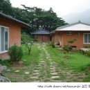 섬진다원 이미지