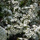 월계천1 이미지