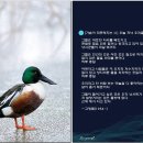 [가슴이 따뜻해지는 詩] 고형렬 시인의 &#39;오늘 저녁 오리들은 뭘 먹지&#39; 이미지