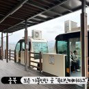 보은 가볼만한 곳 속리산테마파크 모노레일 탑승 후기