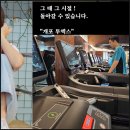 투엑스휘트니스컨설팅(주) 이미지