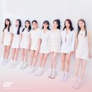 썸 이미지