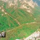 신선동-4 이미지