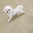 더 올리비에르 산후조리원
