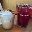 속초스테이 | 속초 조용한 카페 스테이 오롯이 후기