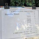 블루핀타워 | 수내역 참치맛집 &#39;블루핀튜나&#39; 점심정식 내돈내산 후기