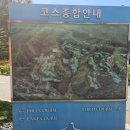 정직한 로드힐스 cc 러프가 어려웠던 라운딩 후기
